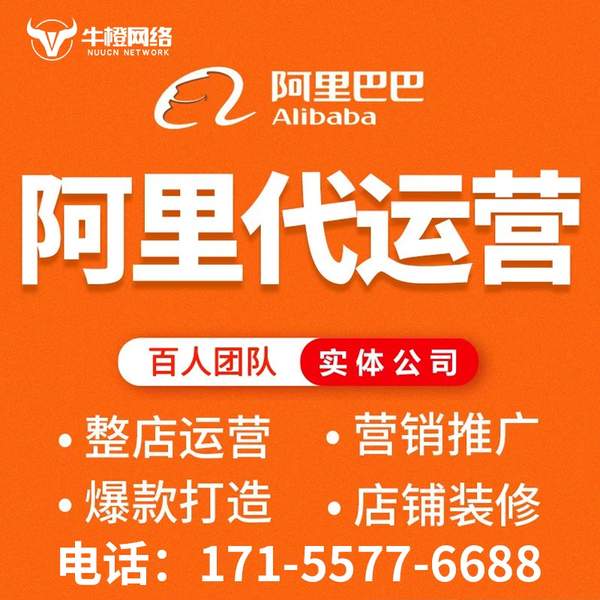 文昌电商代运营