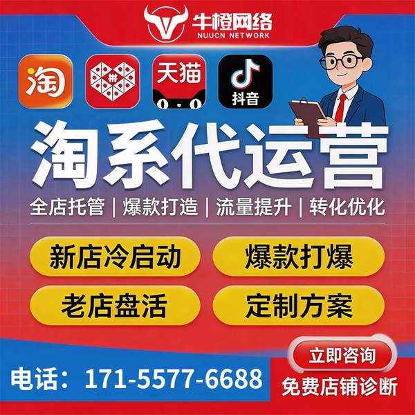 文昌电商代运营