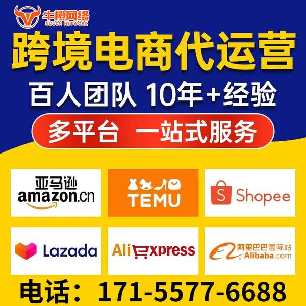 文昌电商代运营