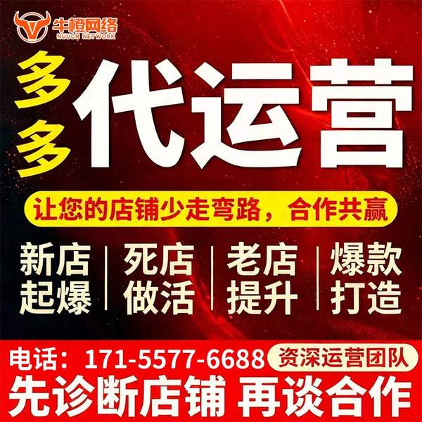 文昌电商代运营