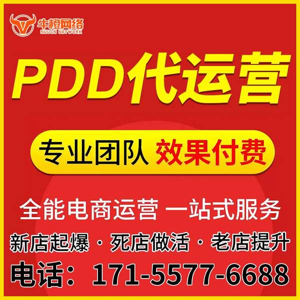 文昌电商代运营