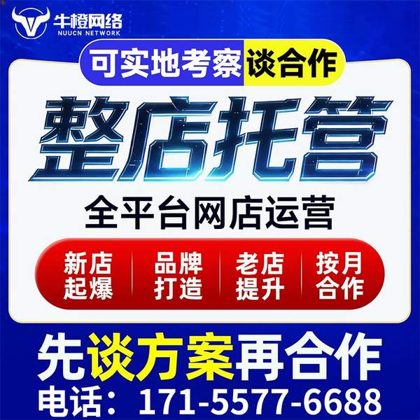 文昌电商代运营