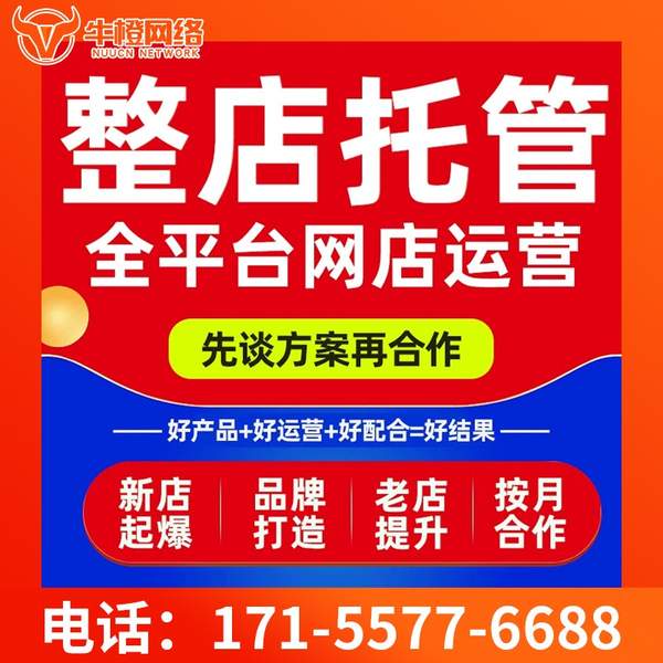 文昌电商代运营