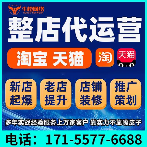 文昌电商代运营