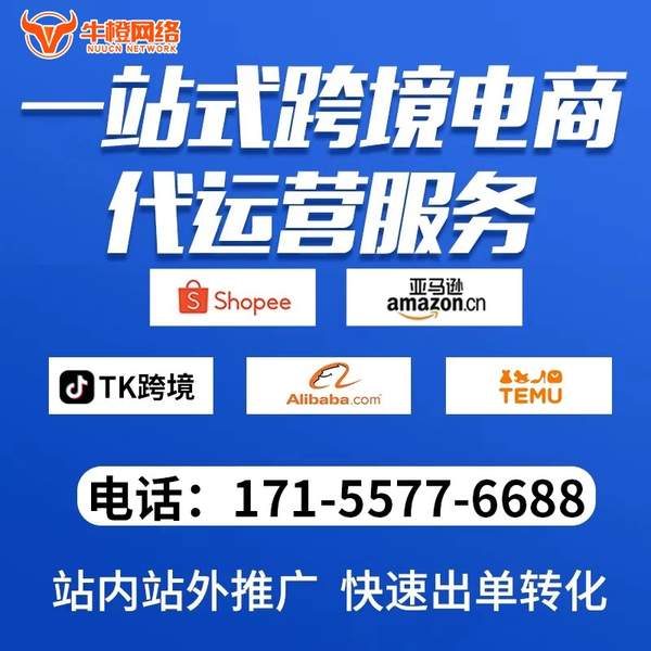 文昌电商代运营