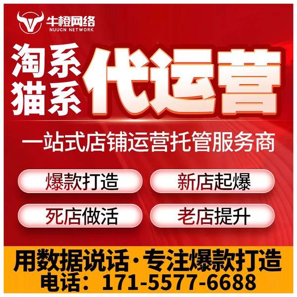 文昌电商代运营